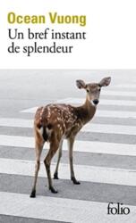Un bref moment de splendeur (ISBN: 9782072977428)