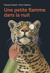 Une petite flamme dans la nuit (ISBN: 9782747098212)