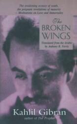 Broken Wings (ISBN: 9788187075165)