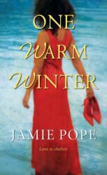 One Warm Winter (ISBN: 9781496718273)