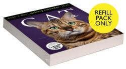 Cat Page-A-Day (R) Gallery Calendar Refill Pack 2024 (ISBN: 9781523519897)