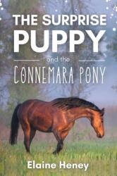 Surprise Puppy and the Connemara Pony (ISBN: 9781915542243)
