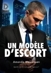 Un modele d'escort (ISBN: 9781641082952)