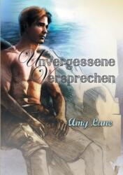 Unvergessene Versprechen (ISBN: 9781644059234)