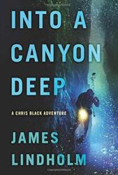 Into A Canyon Deep (ISBN: 9781931540360)