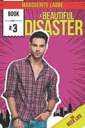 Beautiful Disaster (ISBN: 9781644055380)
