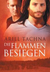 Flammen besiegen (ISBN: 9781644051610)