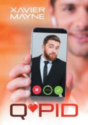 Q*pid (ISBN: 9781640809819)