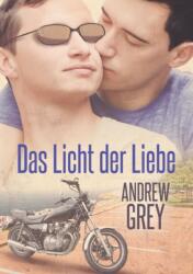 Licht der Liebe (ISBN: 9781640806610)