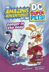 Danger in the Deep (ISBN: 9781398251786)