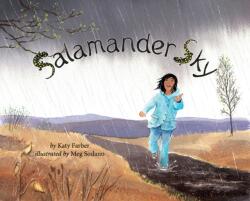 Salamander Sky (ISBN: 9780999076644)