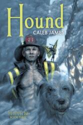 Hound Volume 3 (ISBN: 9781635339215)