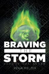 Braving the Storm Volume 4 (ISBN: 9781635336757)