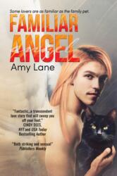 Familiar Angel Volume 1 (ISBN: 9781635339451)