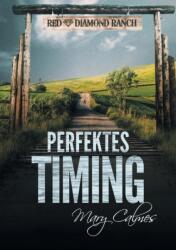 Perfektes Timing (ISBN: 9781635339680)