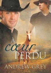 A Coeur Perdu (ISBN: 9781635339581)