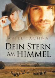 Dein Stern am Himmel (ISBN: 9781635336177)