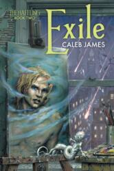 Exile Volume 2 (ISBN: 9781635332605)