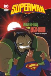Under the Red Sun (ISBN: 9781406215038)