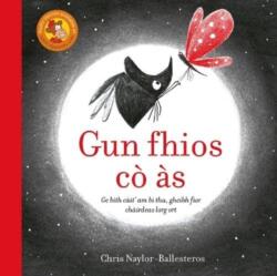 Gun Fhios Co As (ISBN: 9781789071146)