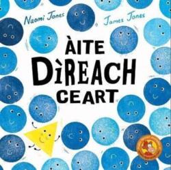 Aite Direach Ceart (ISBN: 9781789071139)