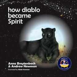 How Diablo Became Spirit (ISBN: 9781943750160)