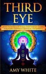 Third Eye (ISBN: 9781951429041)