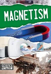 Magnetism (ISBN: 9781786372277)