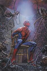 Spider-man's Tangled Web Omnibus (ISBN: 9781302906825)