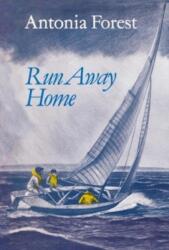 Run Away Home (ISBN: 9781847453242)