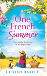 One French Summer (ISBN: 9781804269756)