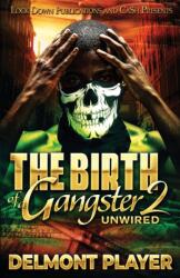 Birth of a Gangster 2 (ISBN: 9781958111314)