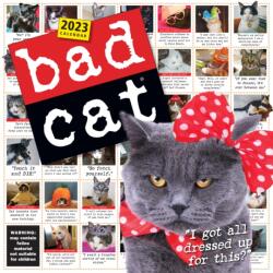 Bad Cat Wall Calendar 2023 (ISBN: 9781523516193)
