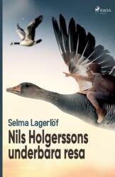 Nils Holgerssons underbara resa (ISBN: 9788728154892)