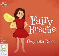 Fairy Rescue (ISBN: 9781489400512)