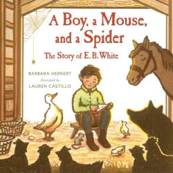 Boy, a Mouse, and a Spider (ISBN: 9781627792455)