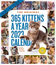 365 Kittens-A-Year Picture-A-Day Wall Calendar 2023 (ISBN: 9781523515837)