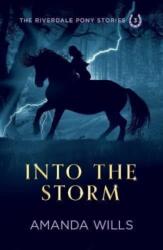 Into the Storm (ISBN: 9781739807078)
