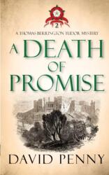 Death of Promise (ISBN: 9781912592890)