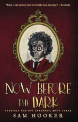Now Before the Dark (ISBN: 9781645480297)