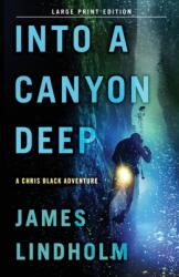 Into A Canyon Deep (ISBN: 9780744300321)