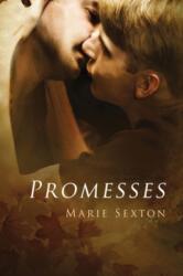 Promesses (ISBN: 9781644053133)