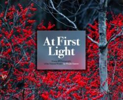 At First Light (ISBN: 9781942483410)