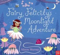 Fairy Felicity's Moonlight Adventure (ISBN: 9780857635884)