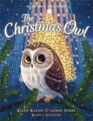 Christmas Owl (ISBN: 9781839132421)