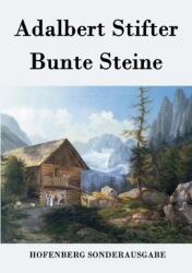Bunte Steine (ISBN: 9783843076418)