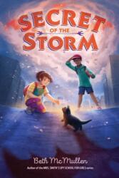Secret of the Storm (ISBN: 9781534482869)