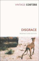 Disgrace - J M Coetzee (ISBN: 9780099540984)