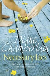 Necessary Lies (ISBN: 9781447211259)
