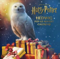 Harry Potter: Hedwig Pop-up Advent Calendar (ISBN: 9781803363073)